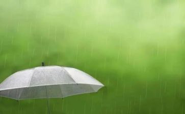 英雄雨来作文600字8篇