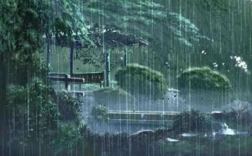 厦门的雨作文6篇