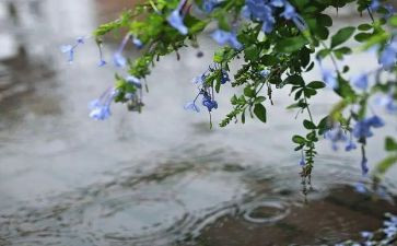 大雨和小雨教案最新5篇
