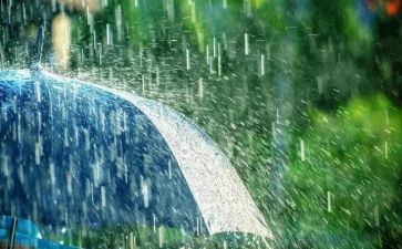 秋天的雨,读后感6篇