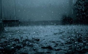 秋天的雨,读后感最新7篇
