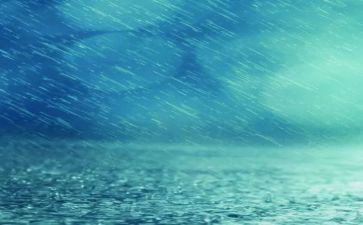 小班小雨和花音乐教案6篇