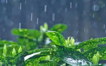 小学二年级《雷雨》教案7篇
