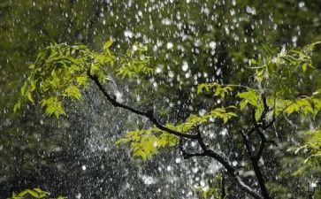 下雨了音乐课教案6篇