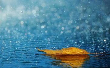 春雨绵绵作文6篇