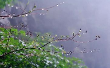 我是雨的作文600字参考8篇