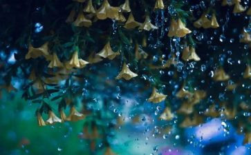 雨果读后感300字5篇