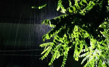 关于春天的雨的作文300字作文通用6篇
