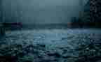 秋天的雨读后感模板6篇