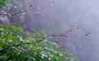 我是雨的作文600字参考8篇