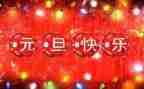 小学元旦安全教育教案5篇