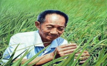 与袁隆平的作文优秀7篇