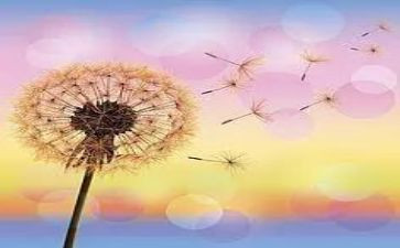 的约定作文600字模板5篇