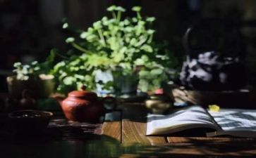 阅读调查报告6篇