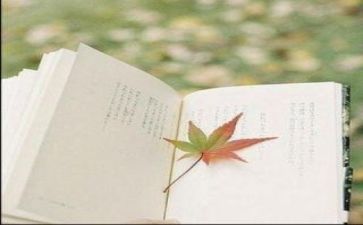 我在阅读《》时作文优质5篇