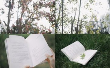我在阅读《》时作文参考7篇