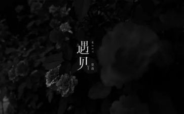 初二作文遇见800字5篇