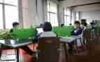 学生在校自我鉴定7篇