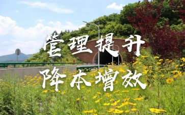 提质增效心得体会最新5篇