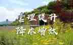提质增效心得体会最新5篇