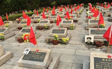 张从顺事迹推荐8篇