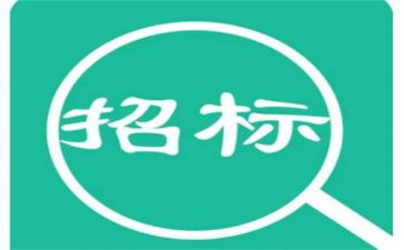 招标工作个人总结8篇