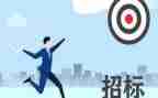 招标工作年度总结7篇