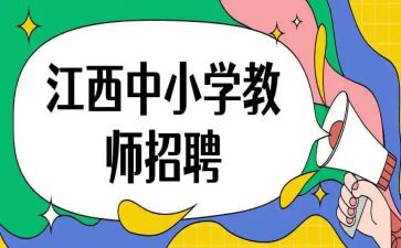 招教师的工作总结优质5篇