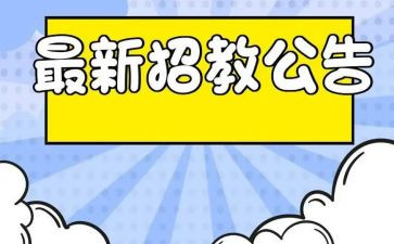 招教师的工作总结8篇