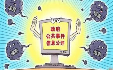 党武政务公开工作总结5篇