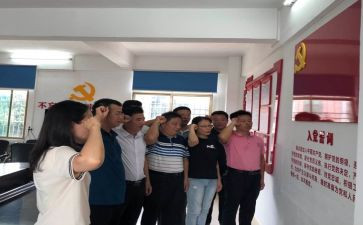 党武政务公开工作总结最新7篇