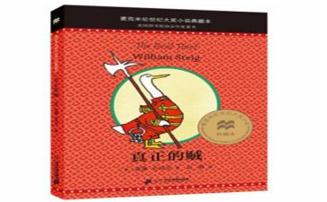 《真正的贼》读后感6篇