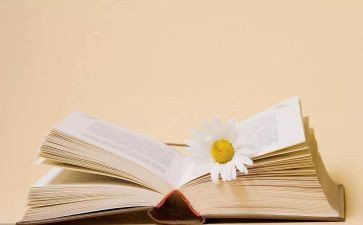 读哲学书的读后感7篇