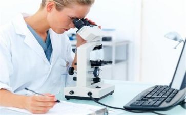 质量部月工作计划8篇