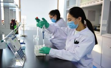 年度质量工作计划范文6篇
