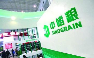 中储粮2024年工作总结7篇