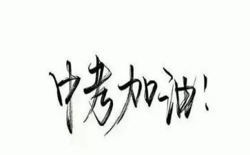我的2024中考作文精选7篇