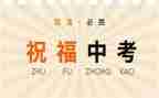中考经验交流发言稿7篇