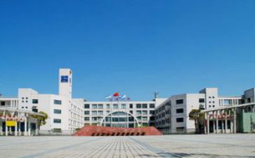 2024年中心校工作总结模板5篇