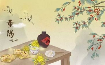 学心得体会重阳节心得体会通用5篇
