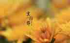 在重阳节领导讲话稿6篇