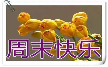 《周末》作文优秀7篇