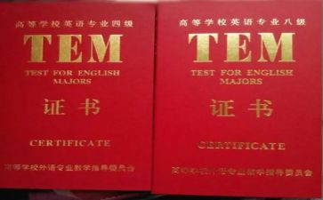 英语专四培训心得体会优质7篇