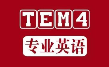 英语专四培训心得体会参考6篇
