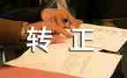 转正个人财务工作总结7篇