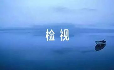 村财务自检自查报告6篇