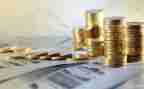 涉农资金自查报告5篇