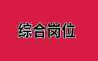综合岗年度工作计划7篇