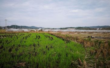 平房屋租赁合同模板优秀6篇