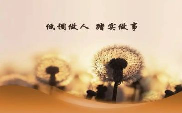 做人力资源个人总结8篇